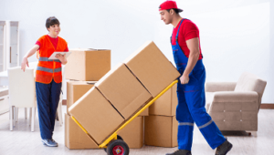 Packers and Movers Chennai